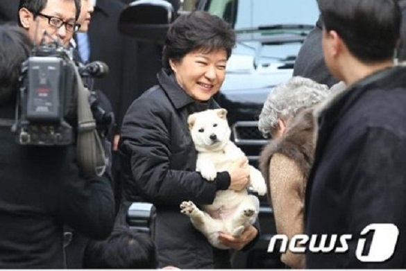 [박근혜 대통령 前 상서] 진돗개처럼 개혁하면 안 되는 5가지 이유