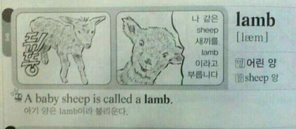 100명이 블락할 개그 개드립 모음