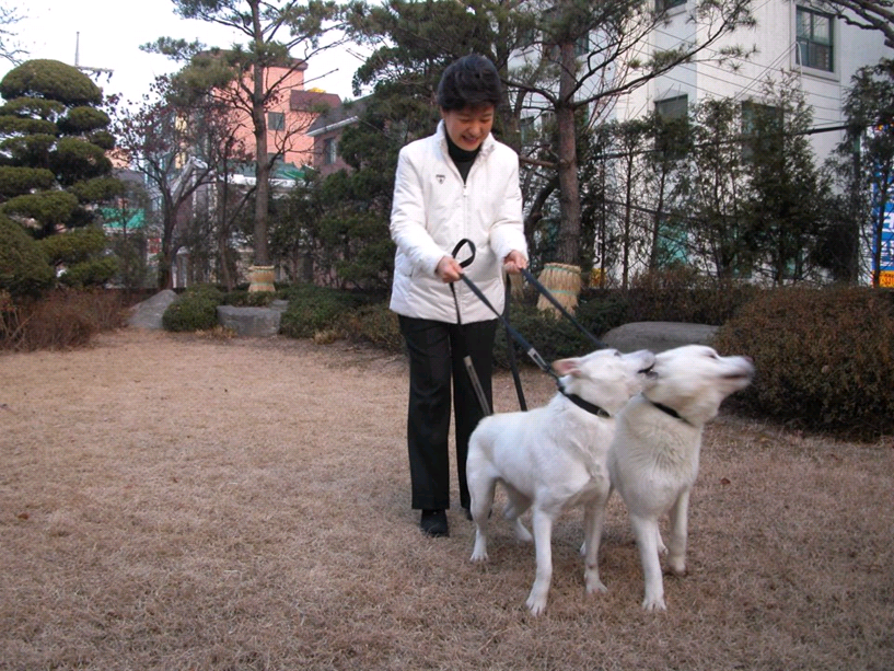 [논평] 이참에 진돗개에게 대통령을 맡기자