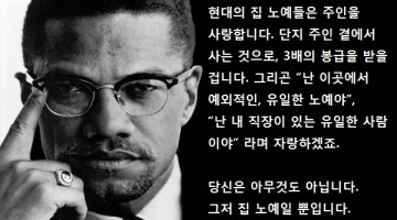 말콤 엑스의 감동 연설 “집노예와 들노예”