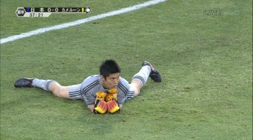공을 고양이로 바꾸어 보았다 개드립 모음