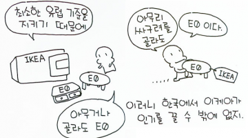 이케아가 한국에서 인기 있는 이유: 유럽 기준의 친환경 목재
