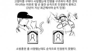대한민국 소방관의 현실