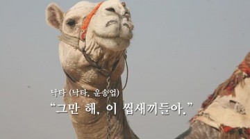 메르스 – 낙타 개드립 모음