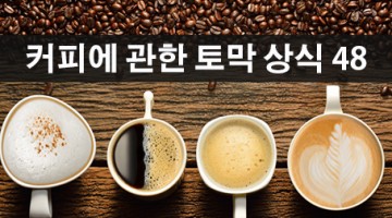 커피에 관한 토막상식 48