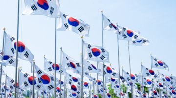 그런 애국은 싫다