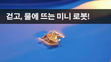 소금쟁이처럼 떠다니는 미니 로봇