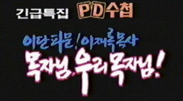 목사님과 남산의 얼룩말