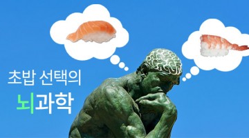 초밥은 알고 있다, 당신의 뇌(腦)를