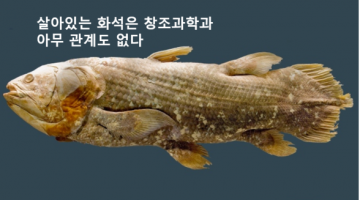 “살아있는 화석이 진화론을 부정한다”는 창조론자의 오류