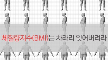 BMI 계산은 잊고 근육부터 키워라