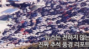 뉴스가 전하지 않는 진짜 추석 풍경 리포트