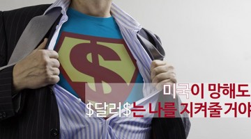 왜 달러는 미국보다 강한가