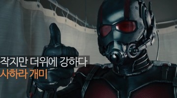 사하라 개미 털의 비밀