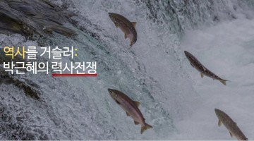박근혜의 력사전쟁