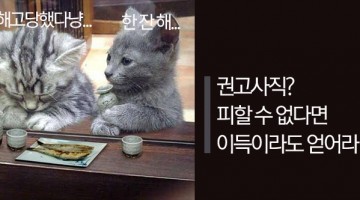 권고사직에는 동의할 필요가 없다