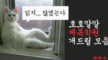 호호깔깔 제목학원 개드립 모음