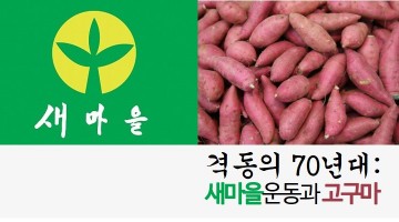 새마을운동과 함평 고구마사건
