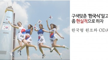 한국형이 아니라 현실적인 원조가 필요하다
