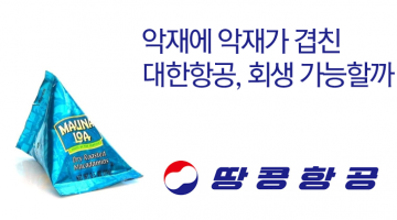 다시 대한항공은 비상할 수 있을까?
