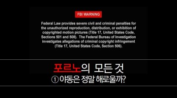 포르노의 모든 것 ①: 야동은 정말 해로울까?