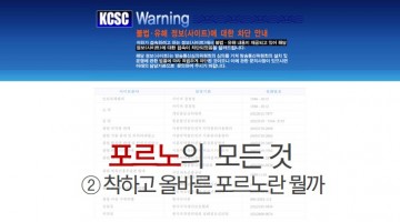 포르노의 모든 것 ② 착하고 올바른 포르노란 뭘까