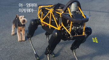 [동영상] 진짜 개가 로봇 개를 만났을 때