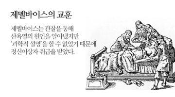 디버깅의 중요성: 제멜바이스는 어떻게 정줄을 놓았나