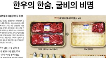 언론이 김영란법을 다루는 방법