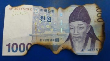 저가 커피전문점 열풍, 정말일까?