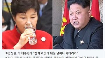 북한은 미치지 않았다: 비합리적 합리성