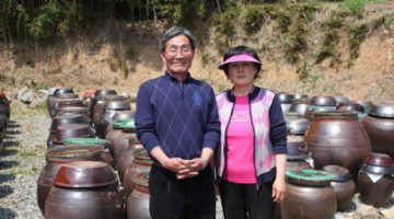 백남기: 폭력시위 여부를 묻기 앞서 알아야 할 삶의 족적