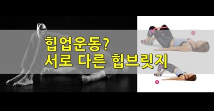 같은 힙 브릿지, 다른 효과! 힙업 운동 달리 보기