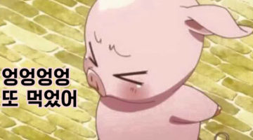 과식의 심리학: 정말 내 의지에 문제가 있는 걸까?