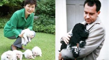 박근혜식 사랑법, 닉슨과는 너무 다른: 청와대 진돗개 vs. 백악관 스파니엘 운명 비교