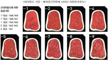 억울한 마블링을 위한 변론