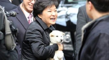 박근혜의 진돗개, ‘퍼스트 독’의 눈물