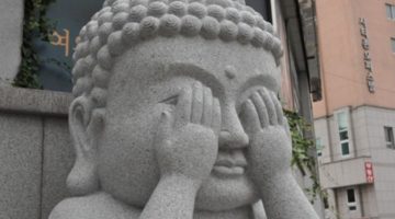 내향적 인간에 대한 오해