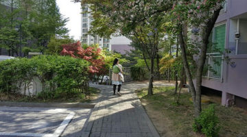 죄책감은 워킹맘의 또 다른 이름이다