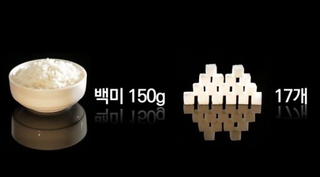 먹는 것이 모든 것: 건강을 위해, 우선 밥부터 줄여야 하는 이유
