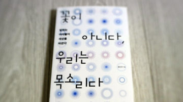 강력 추천 페미니즘 책: 윤단우, ‘꽃이 아니다, 우리는 목소리다’