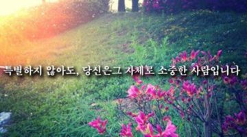 너는 특별하지 않단다