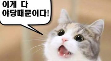 보수와 진보라는 교조주의를 폐기할 때다