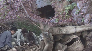 여양리 민간인 학살, 어떤 사건인가