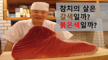 참치의 살은 갈색? 붉은색?