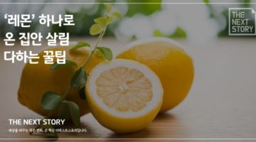 ‘레몬’ 하나로 온 집안 살림 다하는 꿀팁
