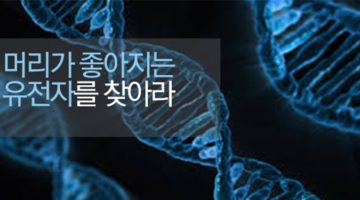 머리가 좋아지는 유전자는 어떤 것일까?