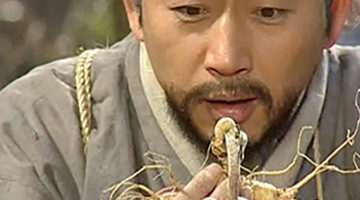 의료와 욕구의 관계