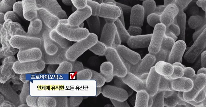 유산균에서 유익균으로, 유익균이 대체 뭐야?