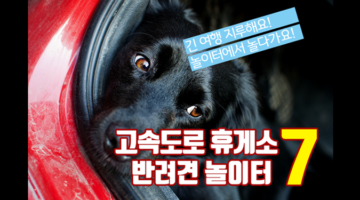고속도로 휴게소 반려견 놀이터 7